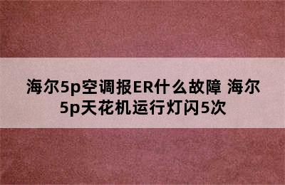 海尔5p空调报ER什么故障 海尔5p天花机运行灯闪5次